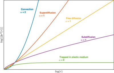 Passive and Active Microrheology for Biomedical Systems